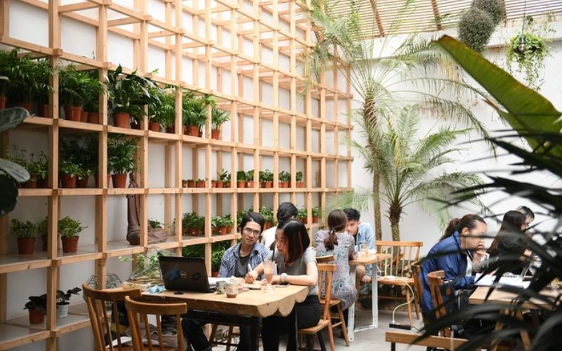 Tạo không gian thông thoáng cũng là điều nên lưu ý khi thiết kế các quán cafe theo phong cách tropical