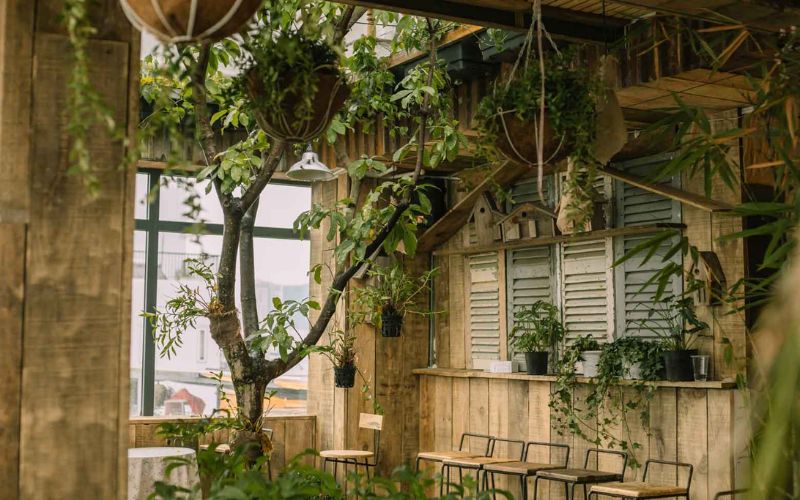 Lối thiết kế nội thất quán cafe tropical đơn giản với chất liệu gỗ kết hợp cùng màu xanh cây cối