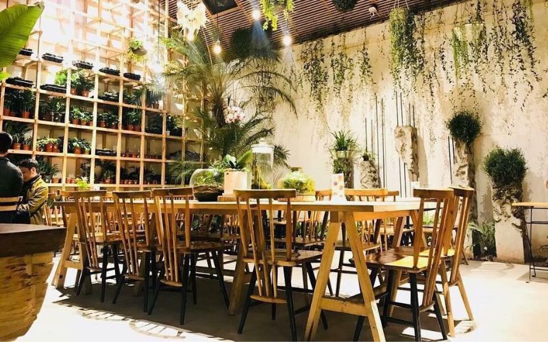 Thiết kế trần nhà thoáng, đón ánh nắng tự nhiên tạo cảm giác thoải mái khi thưởng thức cafe ở trong một khu vườn nhỏ 
